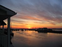 IMG_0554.jpg