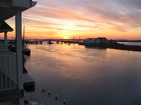 IMG_0555.jpg