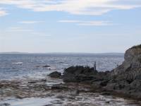 img_0826.jpg