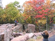 IMG_0426t.JPG