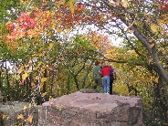 IMG_0430t.JPG