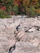 IMG_0438t.JPG