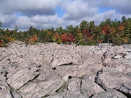 IMG_0439t.JPG