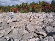 IMG_0441t.JPG