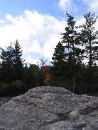 IMG_0453t.JPG