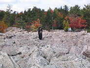 IMG_0460t.JPG