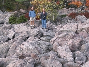 IMG_0466t.JPG